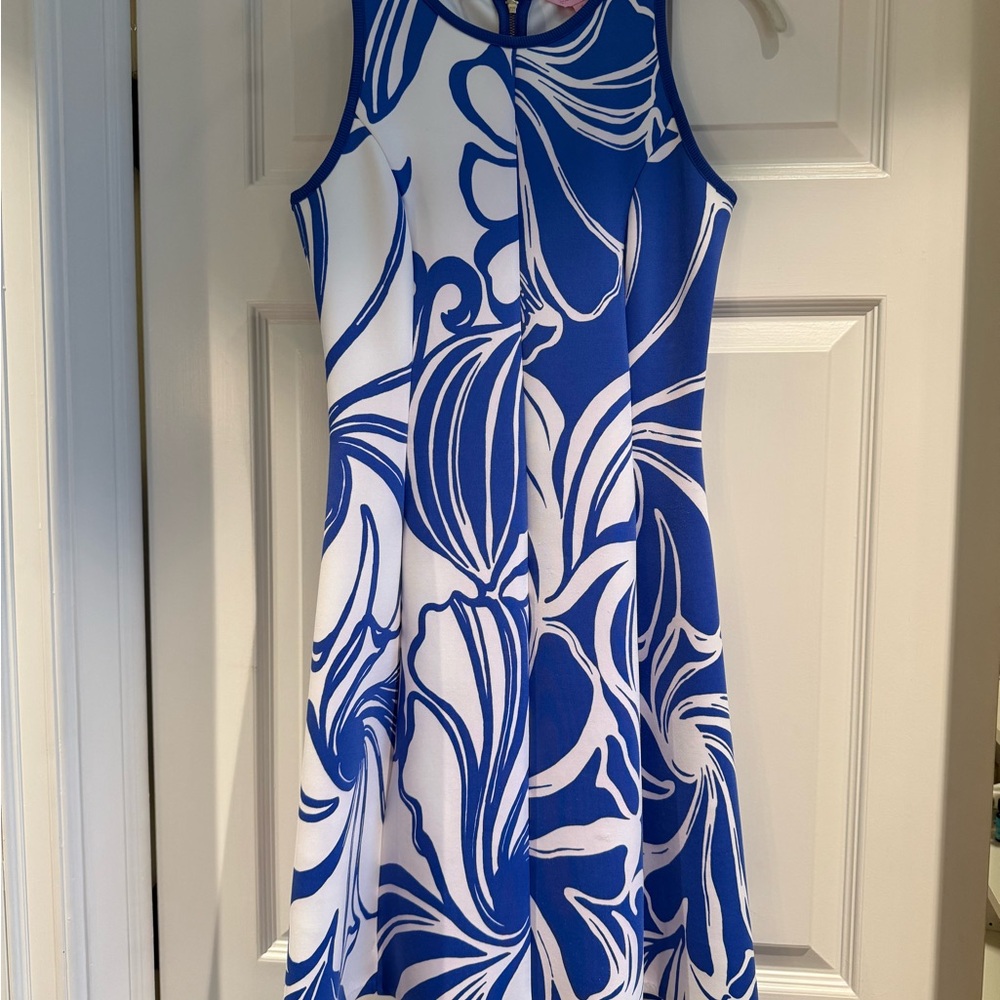 Lilly Pulitzer Royal Blue & White Sleeveless A-Line Dress